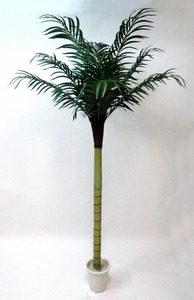A6119-7(7尺單幹椰子樹)