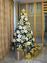 聖誕樹 (3)