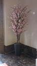 永鼎國璽大廳5尺櫻花樹